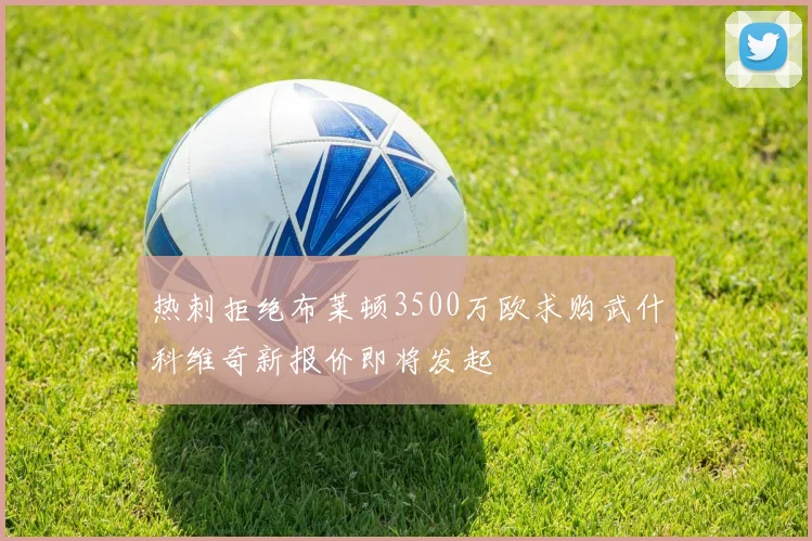 热刺拒绝布莱顿3500万欧求购武什科维奇新报价即将发起