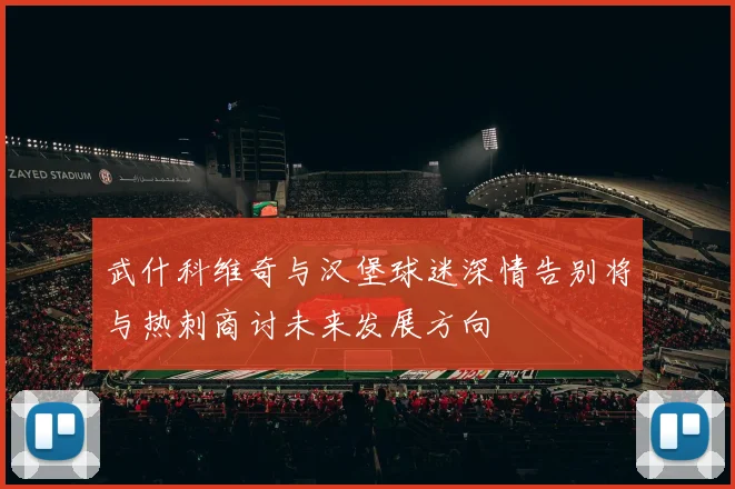武什科维奇与汉堡球迷深情告别将与热刺商讨未来发展方向