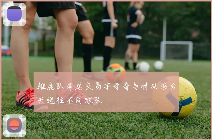 雄鹿队考虑交易字母哥与特纳或分开送往不同球队